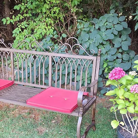 Le Jardin D'anna - Pairi Daiza A 5km Proche Shape Nato Gasthof 3*